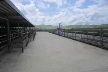 180 Manuel Road, Morrinsville