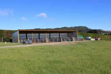 394 Springhills Tussock Creek Road, Winton Surrounds