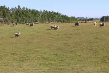 394 Springhills Tussock Creek Road, Winton Surrounds