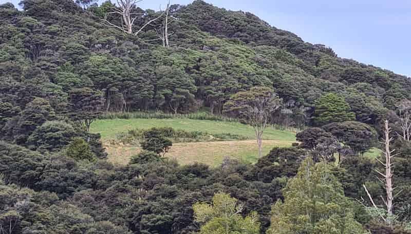 Lot 1 - 30 Peak Road, Kaukapakapa