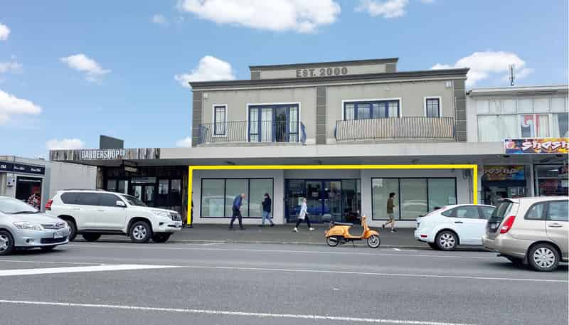 384 Grey Street, Hamilton East