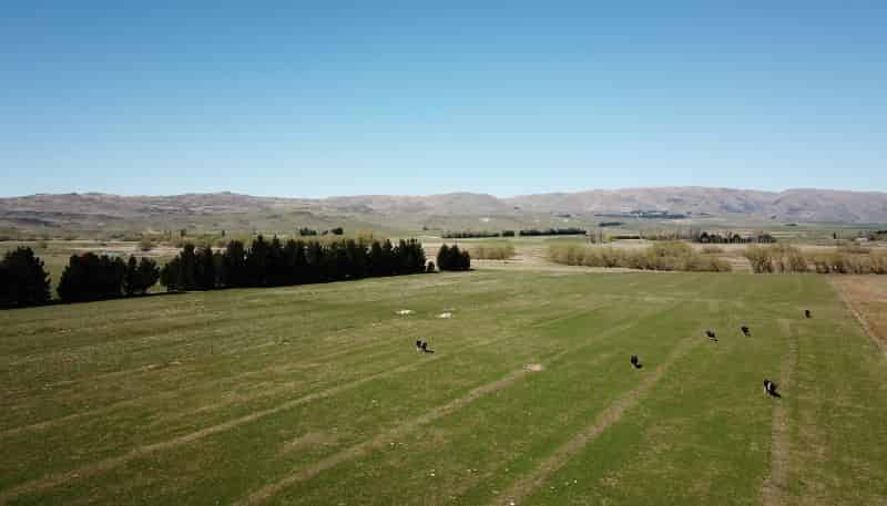  Gimmerburn-Waipiata Road, 