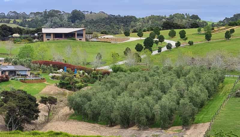 425 King Road, Mangawhai Heads