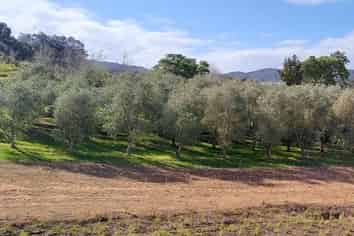 425 King Road, Mangawhai Heads