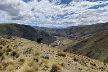 720 Kaiwarua Road, Waimate