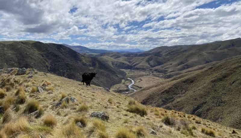 720 Kaiwarua Road, Waimate