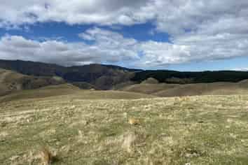 720 Kaiwarua Road, Waimate