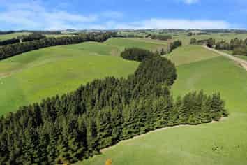 374 Blackburn Road, Balclutha