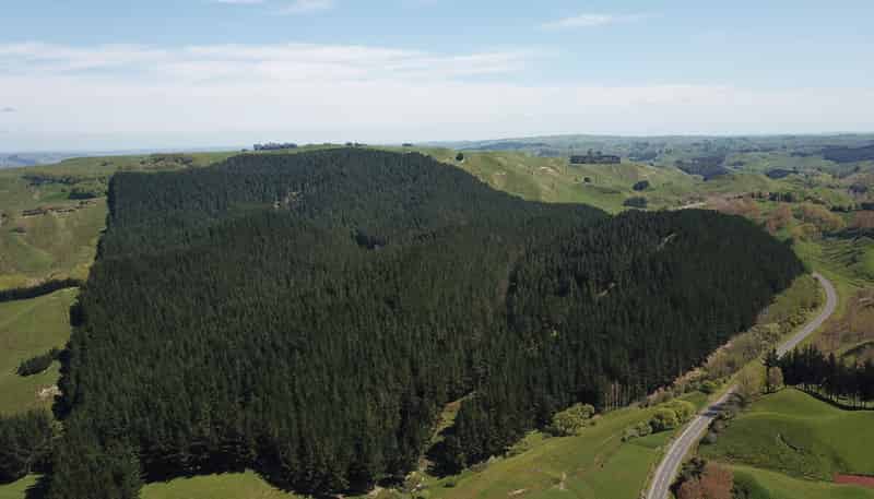 4547 State highway 1, Hunterville