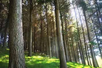 4547 State highway 1, Hunterville