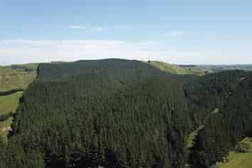 4547 State highway 1, Hunterville