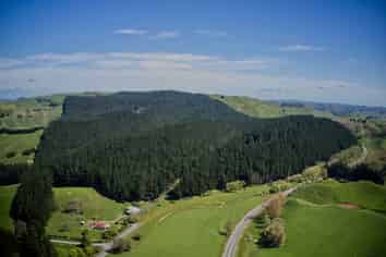 4547 State highway 1, Hunterville