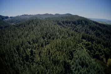 4547 State highway 1, Hunterville