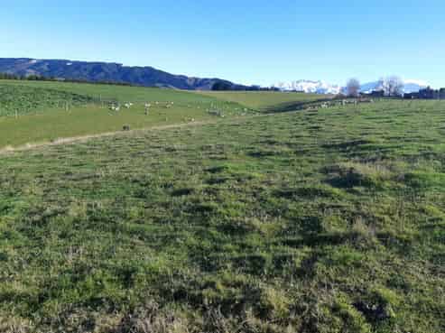 89 Brophy Road, Geraldine