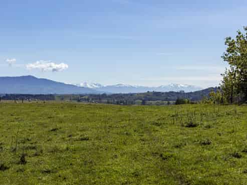 89 Brophy Road, Geraldine