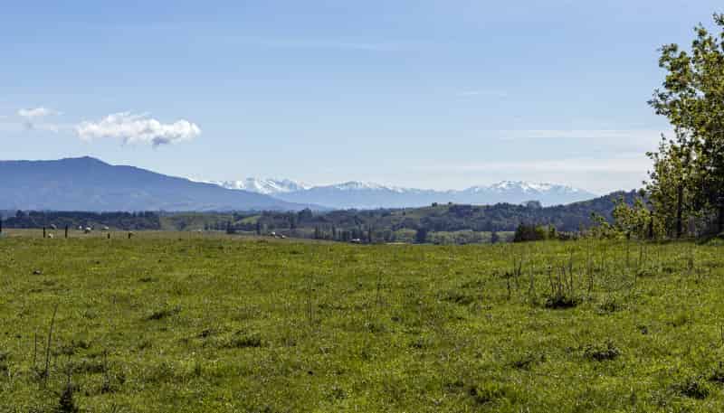 89 Brophy Road, Geraldine