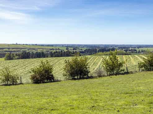 89 Brophy Road, Geraldine