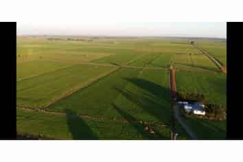 315 Collins Road, Hamilton Central