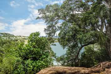 69 Ngataringa Rd, Devonport