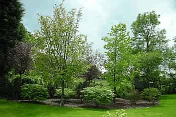 A Growing Opportunity - Leading Nursery Business!