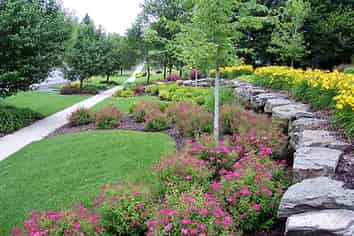 A Growing Opportunity - Leading Nursery Business!