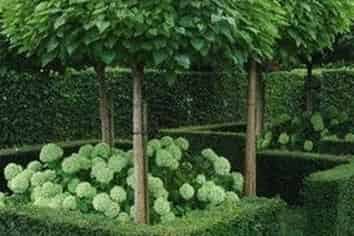 A Growing Opportunity - Leading Nursery Business!