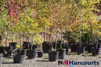 A Growing Opportunity - Leading Nursery Business!