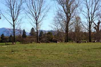 584 Orari Station Road, Geraldine