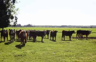 584 Orari Station Road, Geraldine