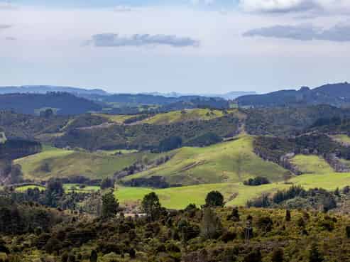 180 Silverstream Falls Row, Whenuakite