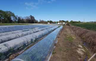 145 Constable Road, Waiuku