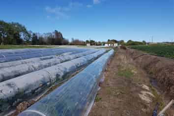 145 Constable Road, Waiuku