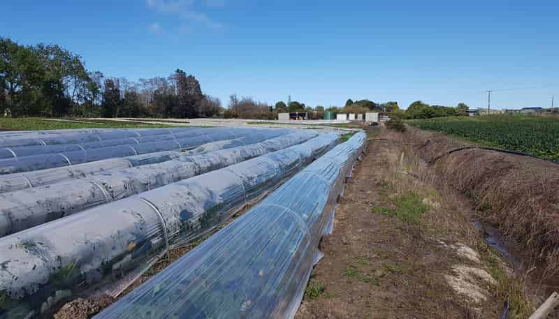 145 Constable Road, Waiuku