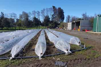 145 Constable Road, Waiuku