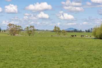 315 Collins Road, Glenview