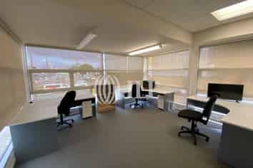 Little Beauty situated in Onehunga