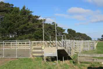 80 Wilson Road, Clifton