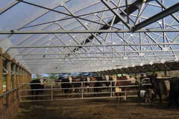 80 Wilson Road, Clifton