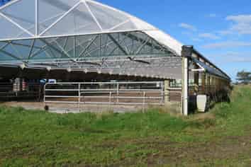 80 Wilson Road, Clifton