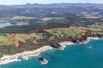 162B Whitipirorua Road, Whangamata