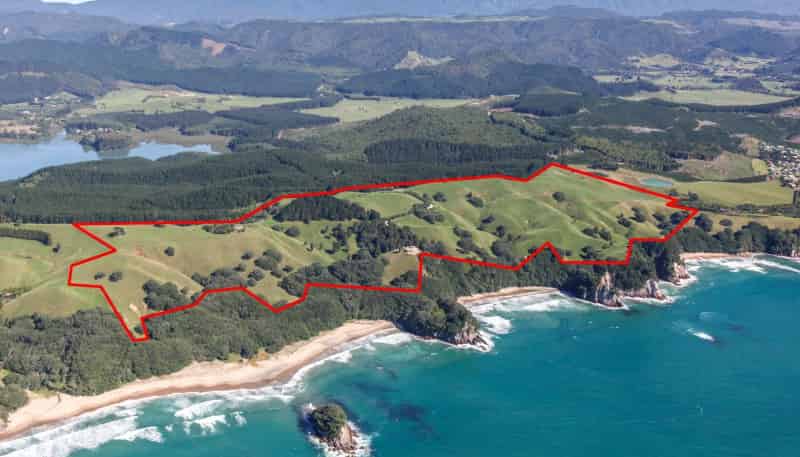 162B Whitipirorua Road, Whangamata