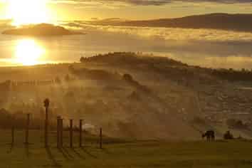 Once in A Lifetime Opportunity