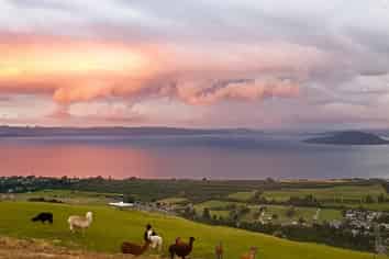 Once in A Lifetime Opportunity