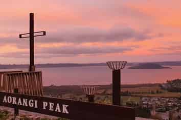 Once in A Lifetime Opportunity