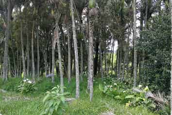 39 Gorge Road, Maungaturoto