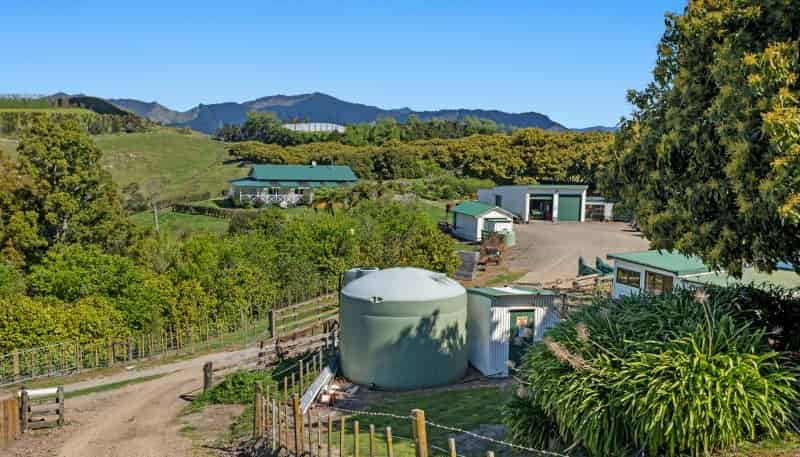 175 Parkinson Road, Opotiki and Surrounds