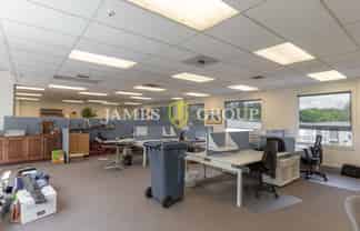 Fantastic Falcon Street Opportunity | 321sqm