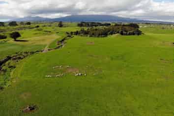  Wiremu Road, Opunake