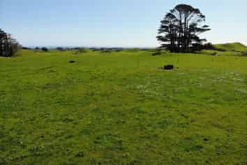  Wiremu Road, Opunake