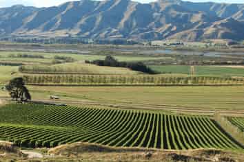 Racecourse Road, Kurow